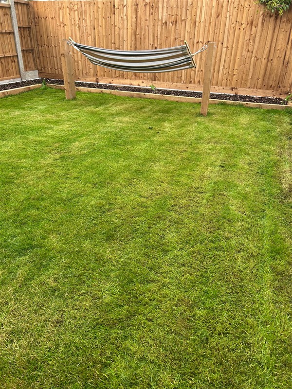Garden lawn beside timber fencing
